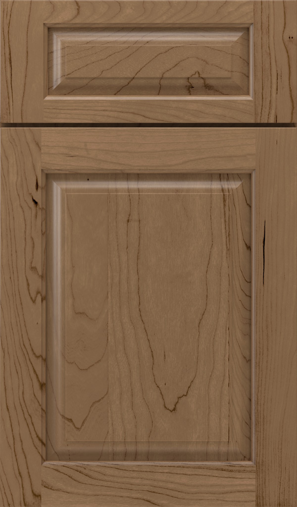 plaza_5pc_cherry_raised_panel_cabinet_door_gunny