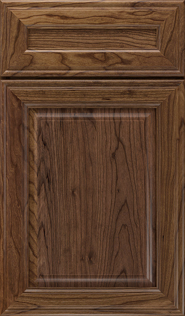 Galleria 5-Piece Cherry Raised Panel Cabinet Door in Mink