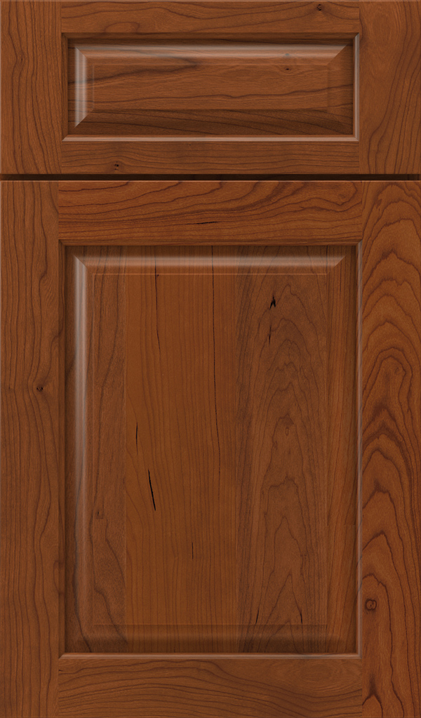 plaza_5pc_cherry_raised_panel_cabinet_door_fennec