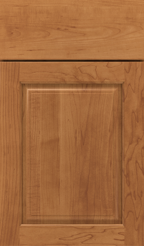 plaza_maple_raised_panel_cabinet_door_suede