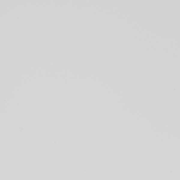 favorite mug shown in maple